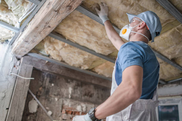 Best Insulation for Specific Applications in Wilson, WY