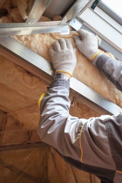 Best Insulation Installation Services in Wilson, WY